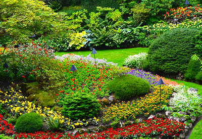 Discover The Best Landscaping Design Ideas For Your Outdoor Space