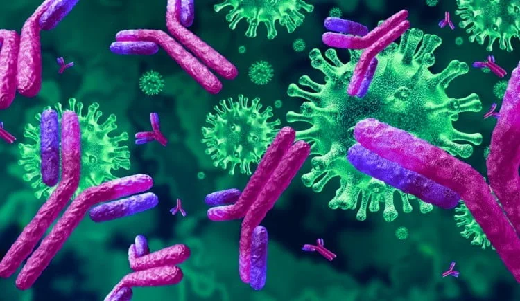 The Best Polyclonal Antibody Development Service For Reliable Results