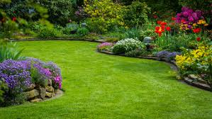 Essential Lawn Care Tips For A Beautiful Yard